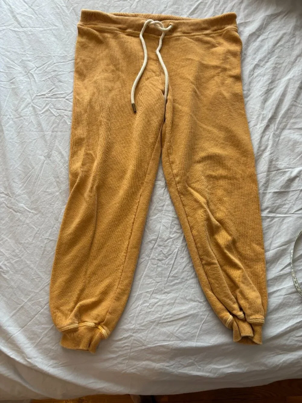 The Great Joggers